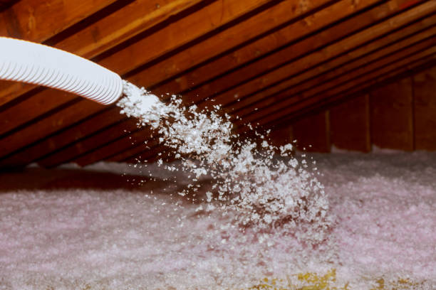 Best Cellulose Insulation  in USA