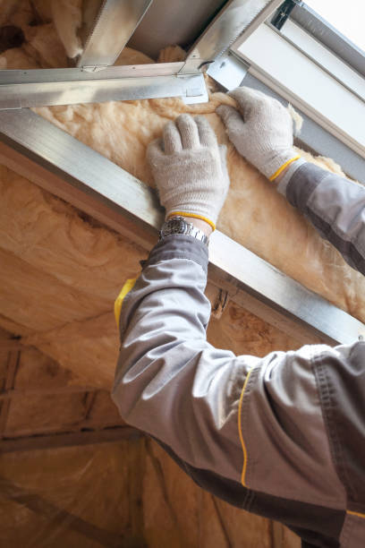 Best Insulation for New Construction  in USA